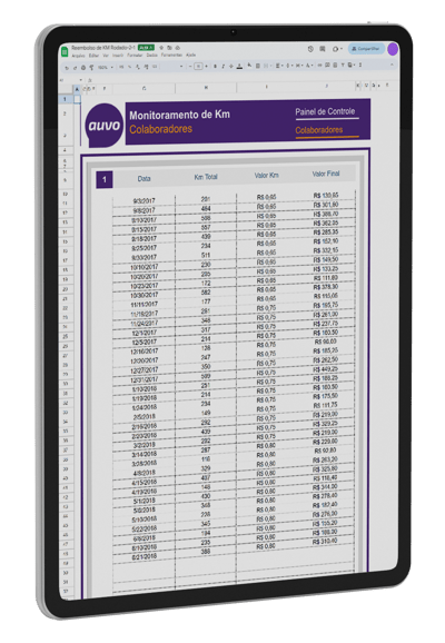Visão de monitoramento de KM rodado na planilha